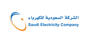 SAUDI ELECTRICITY COMPANY